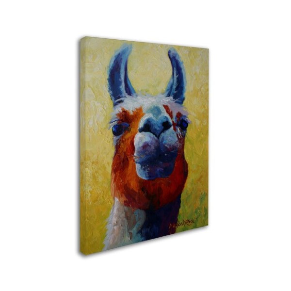 Marion Rose 'Llama I' Canvas Art,18x24
